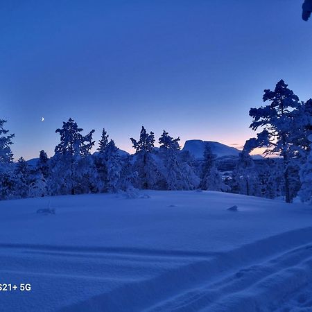 Malangen Lodge Mestervik Kültér fotó