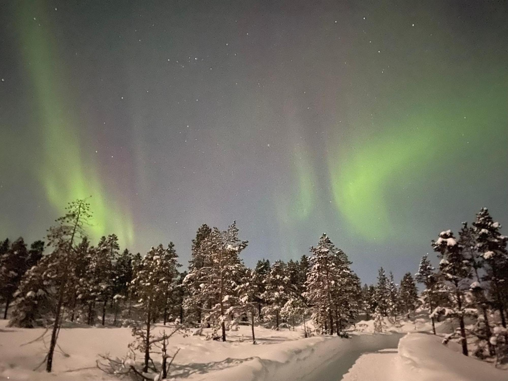 Malangen Lodge Mestervik Kültér fotó