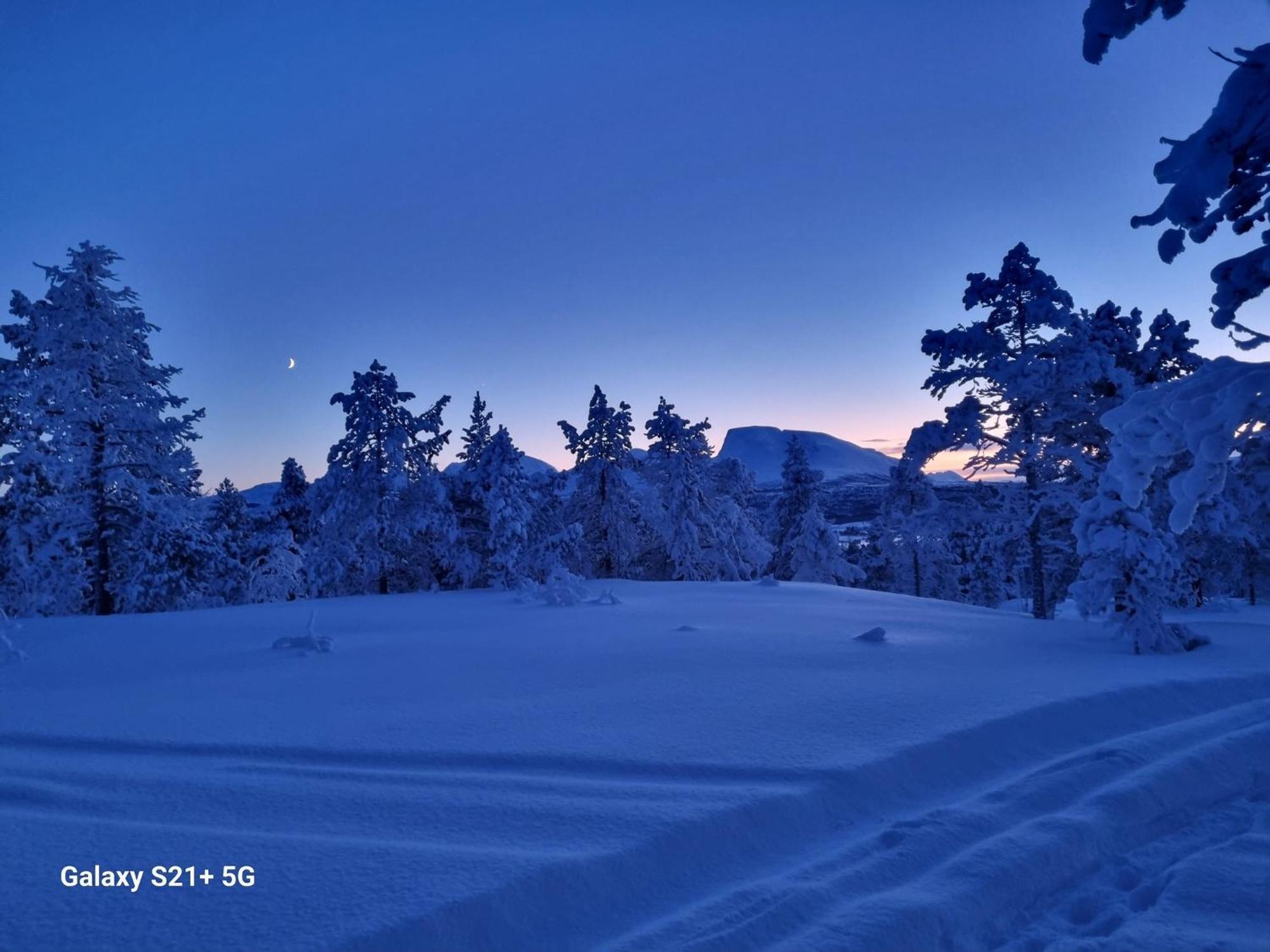 Malangen Lodge Mestervik Kültér fotó