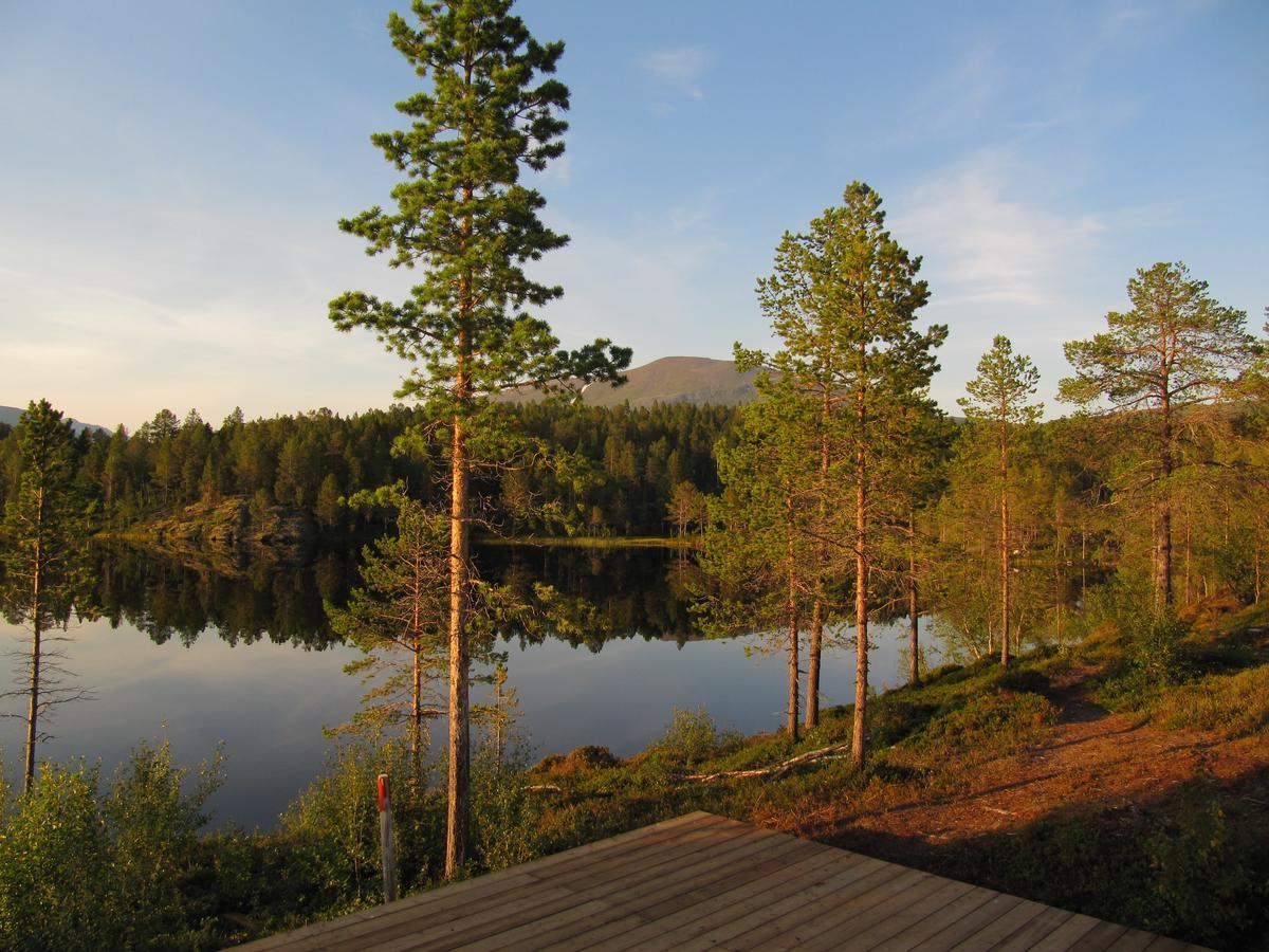 Malangen Lodge Mestervik Kültér fotó