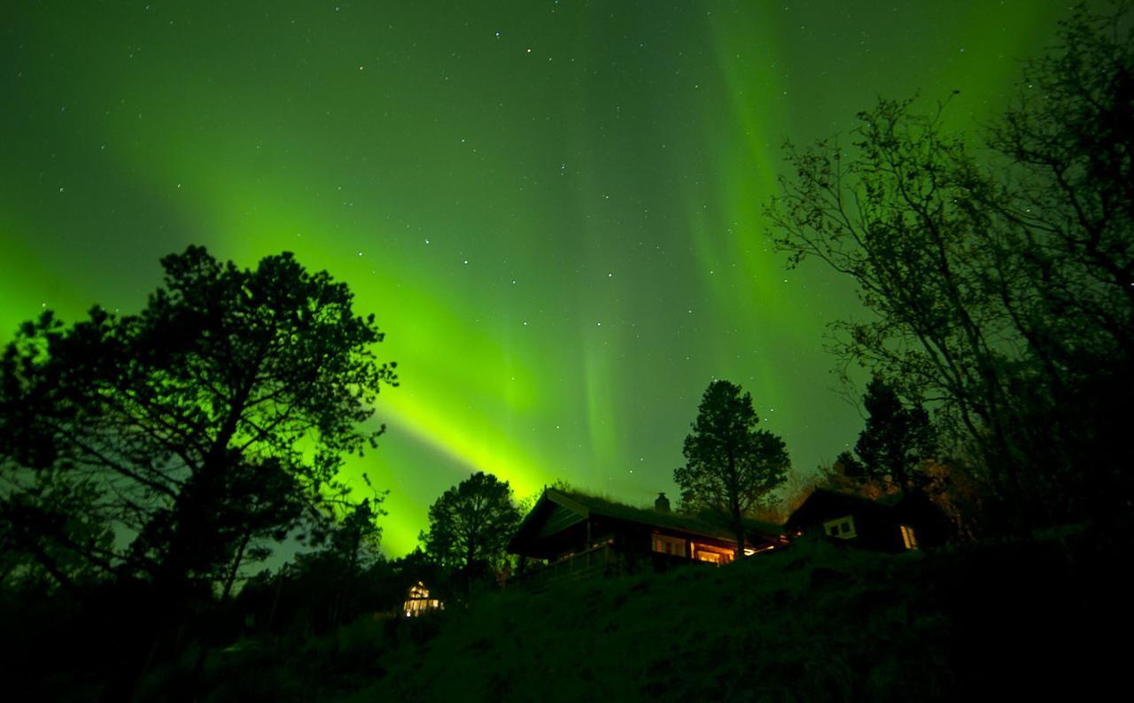 Malangen Lodge Mestervik Kültér fotó