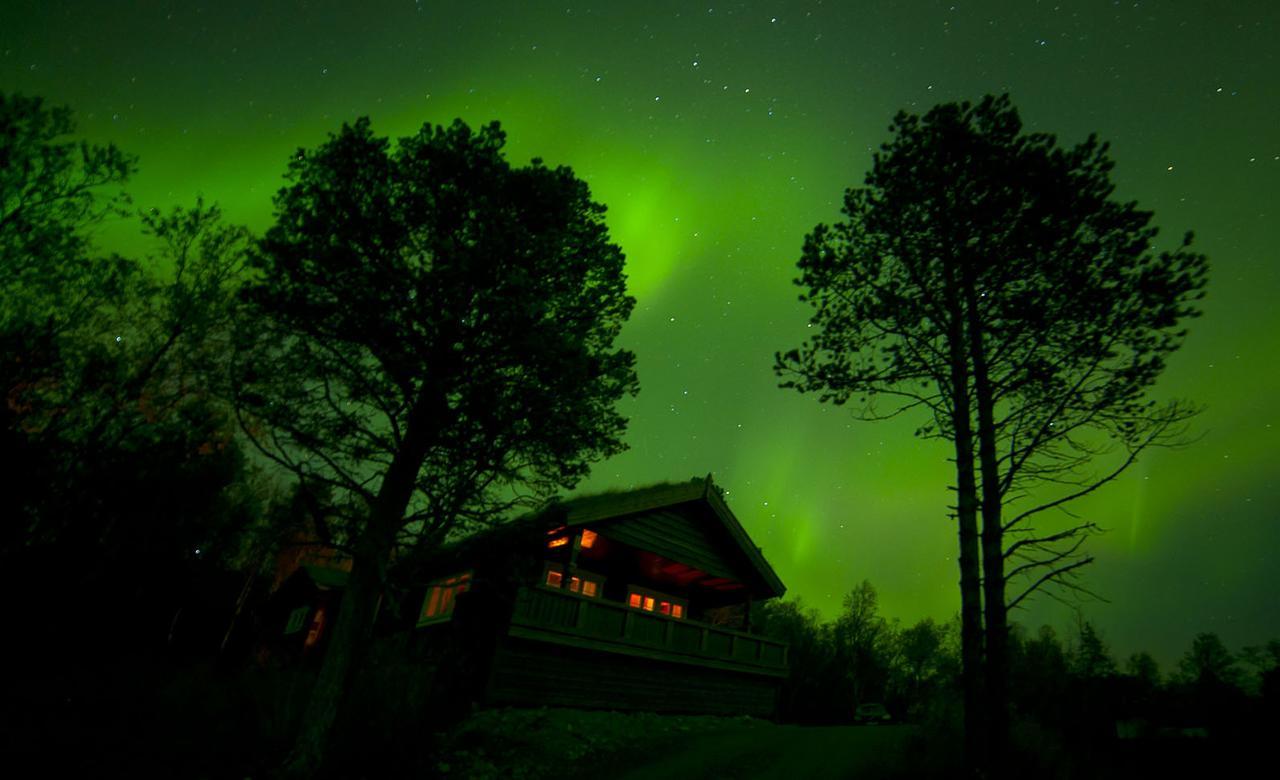 Malangen Lodge Mestervik Kültér fotó