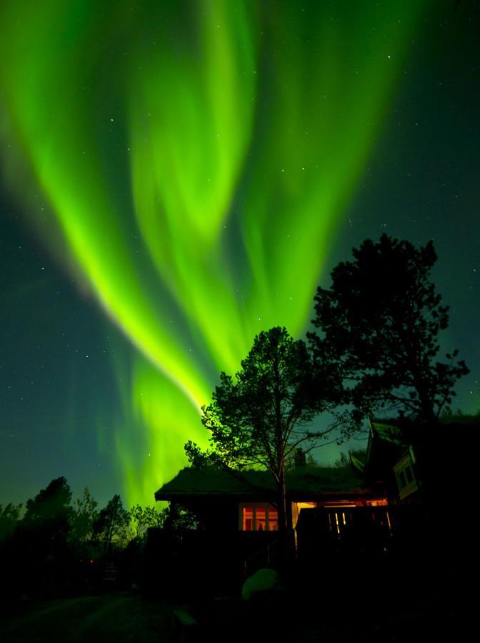 Malangen Lodge Mestervik Kültér fotó