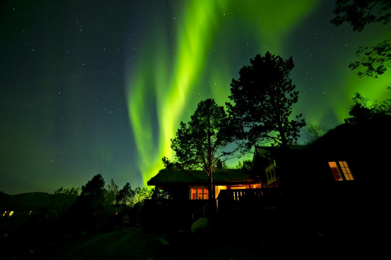 Malangen Lodge Mestervik Kültér fotó