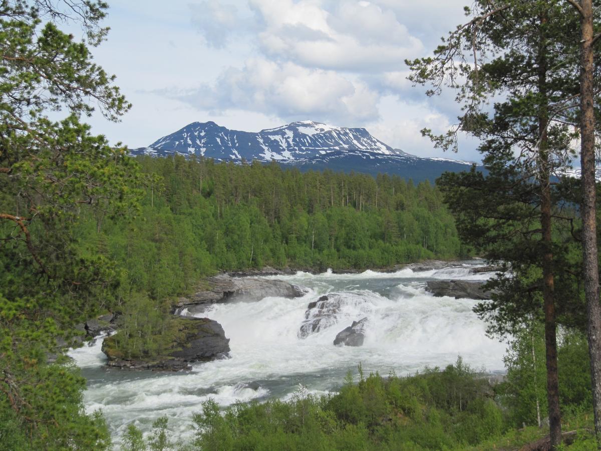 Malangen Lodge Mestervik Kültér fotó