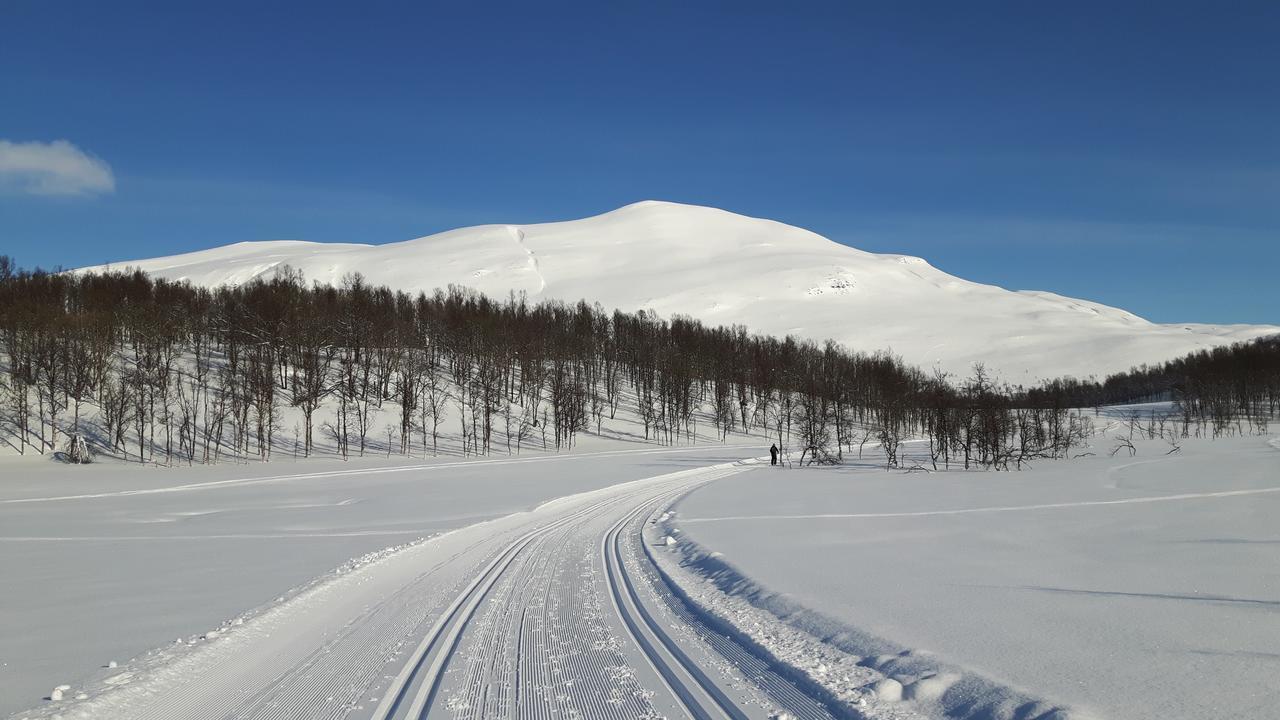 Malangen Lodge Mestervik Kültér fotó