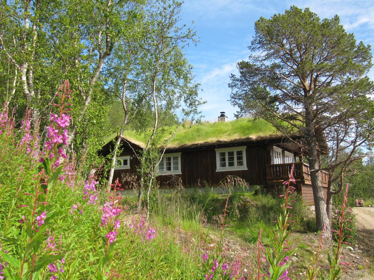 Malangen Lodge Mestervik Kültér fotó
